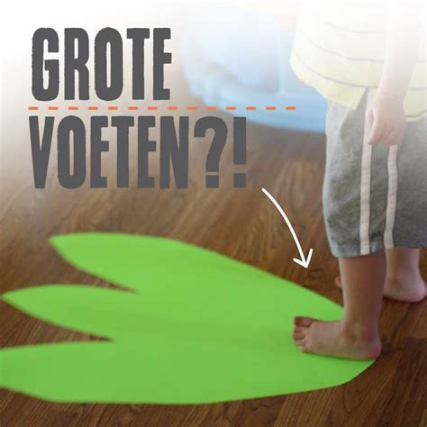 hoe groot zijn de schoenen